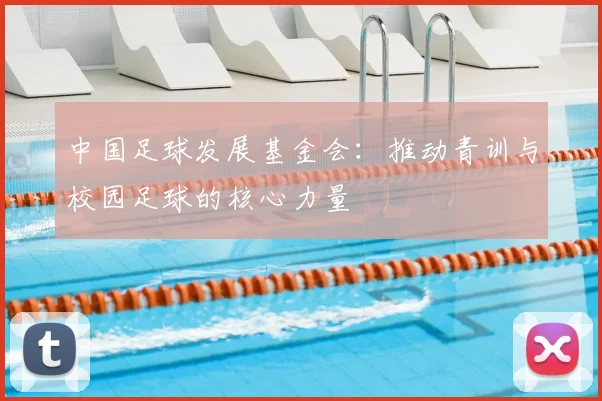 中国足球发展基金会：推动青训与校园足球的核心力量