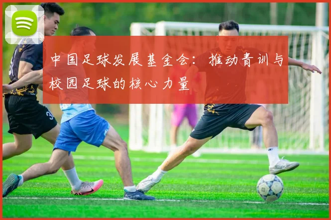 中国足球发展基金会：推动青训与校园足球的核心力量