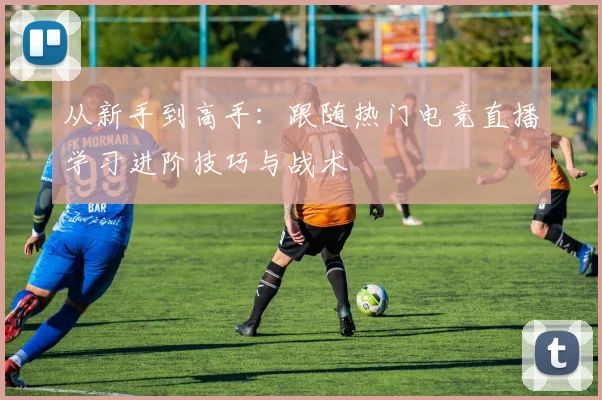 从新手到高手：跟随热门电竞直播学习进阶技巧与战术